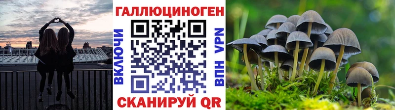 МЕГА ссылка  Россошь  Галлюциногенные грибы прущие грибы 